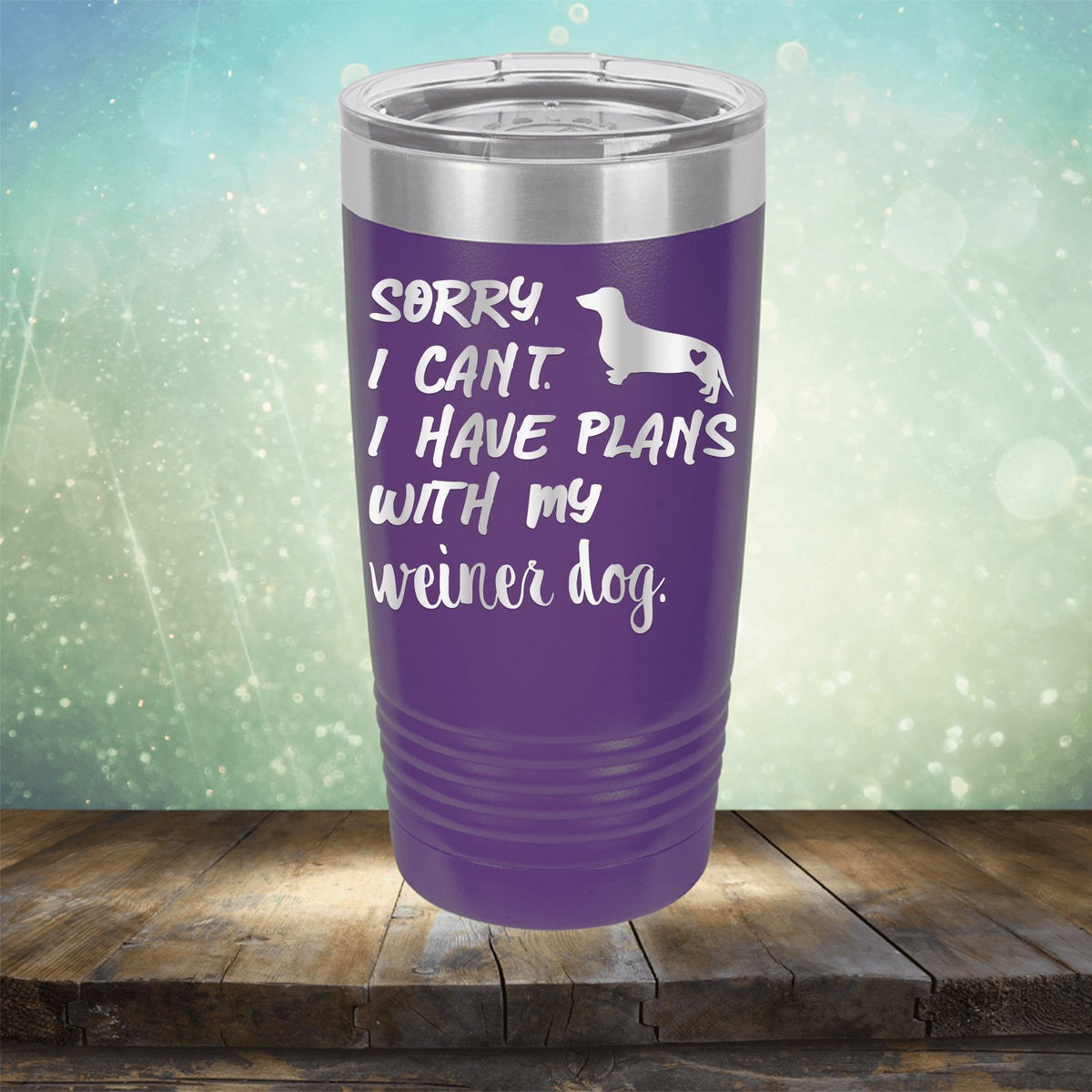 Sorry I Can&#39;t I Have Plans with My Weiner Dog - Laser Etched Tumbler Mug