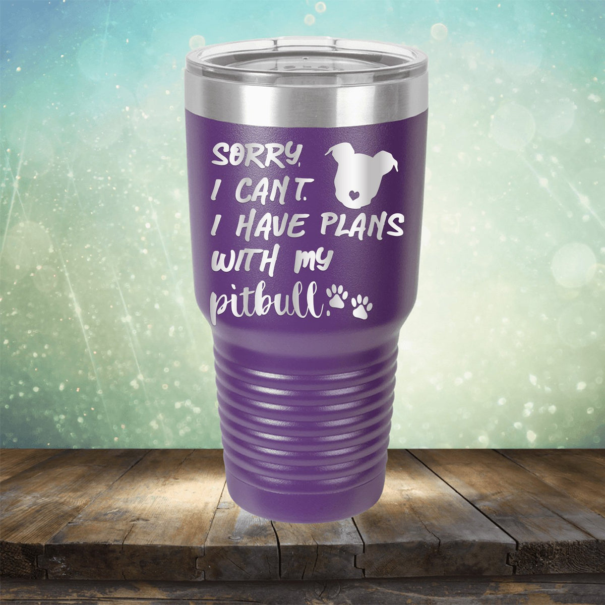 Sorry I Can&#39;t I Have Plans with My Pitbull - Laser Etched Tumbler Mug