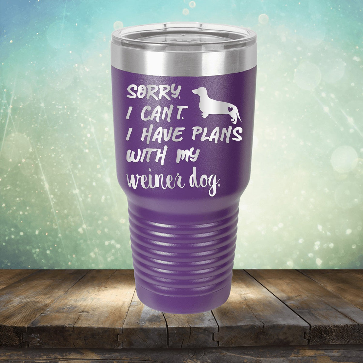 Sorry I Can&#39;t I Have Plans with My Weiner Dog - Laser Etched Tumbler Mug