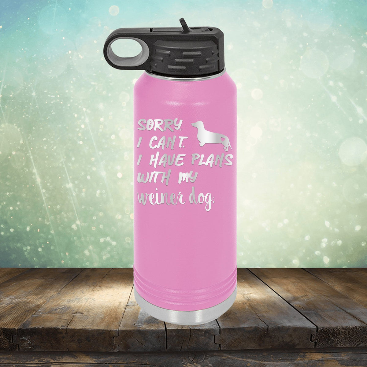 Sorry I Can&#39;t I Have Plans with My Weiner Dog - Laser Etched Tumbler Mug
