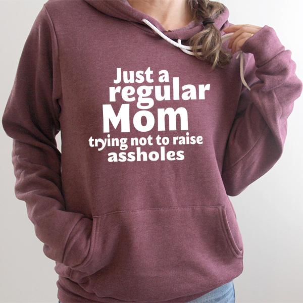 Just A Regular Mom Trying Not To Raise Assholes - Hoodie Sweatshirt