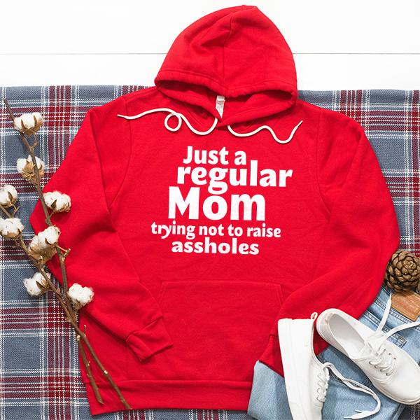 Just A Regular Mom Trying Not To Raise Assholes - Hoodie Sweatshirt